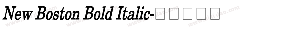 New Boston Bold Italic字体转换